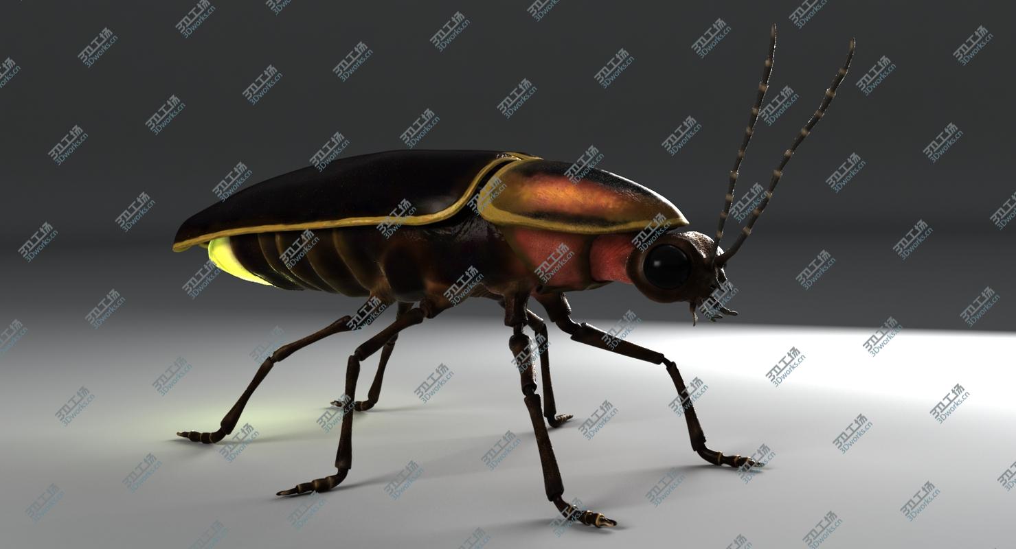 images/goods_img/20210319/3D model Firefly/3.jpg